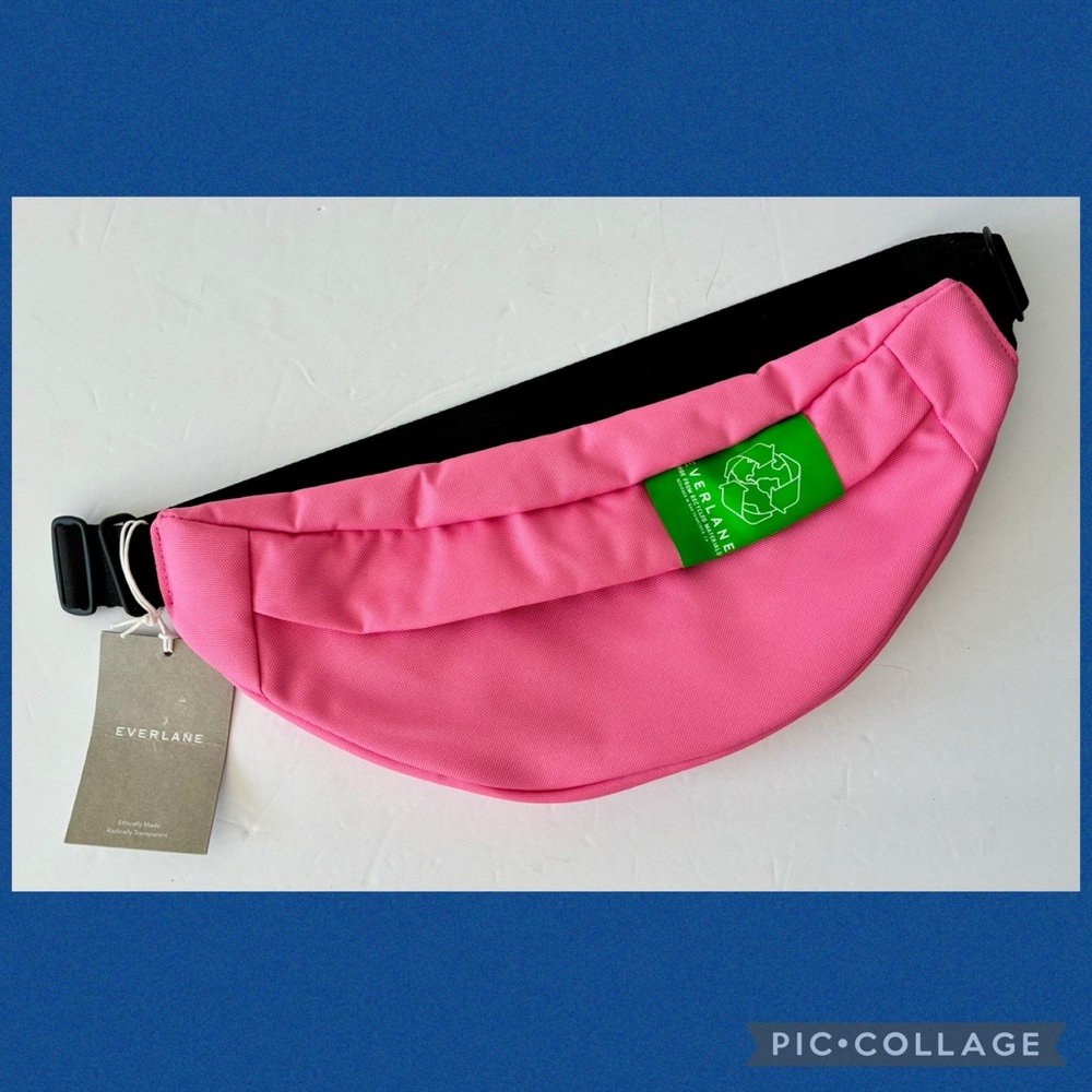NWT Everlane The Renew Transit Fanny Pack